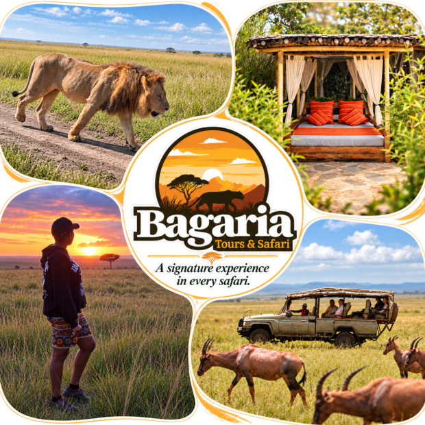 Bagaria Tours Safari Collage
