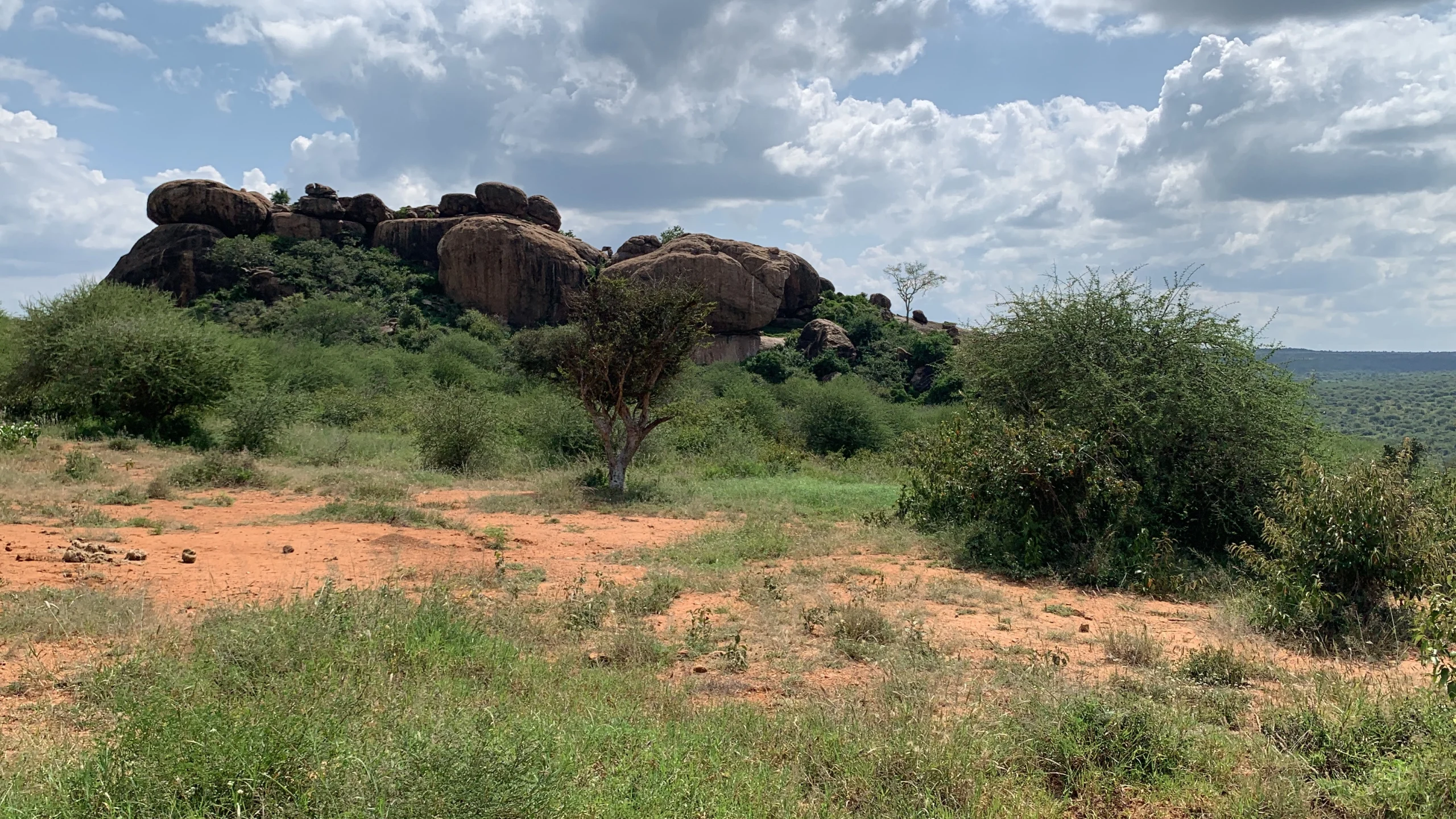 Samburu