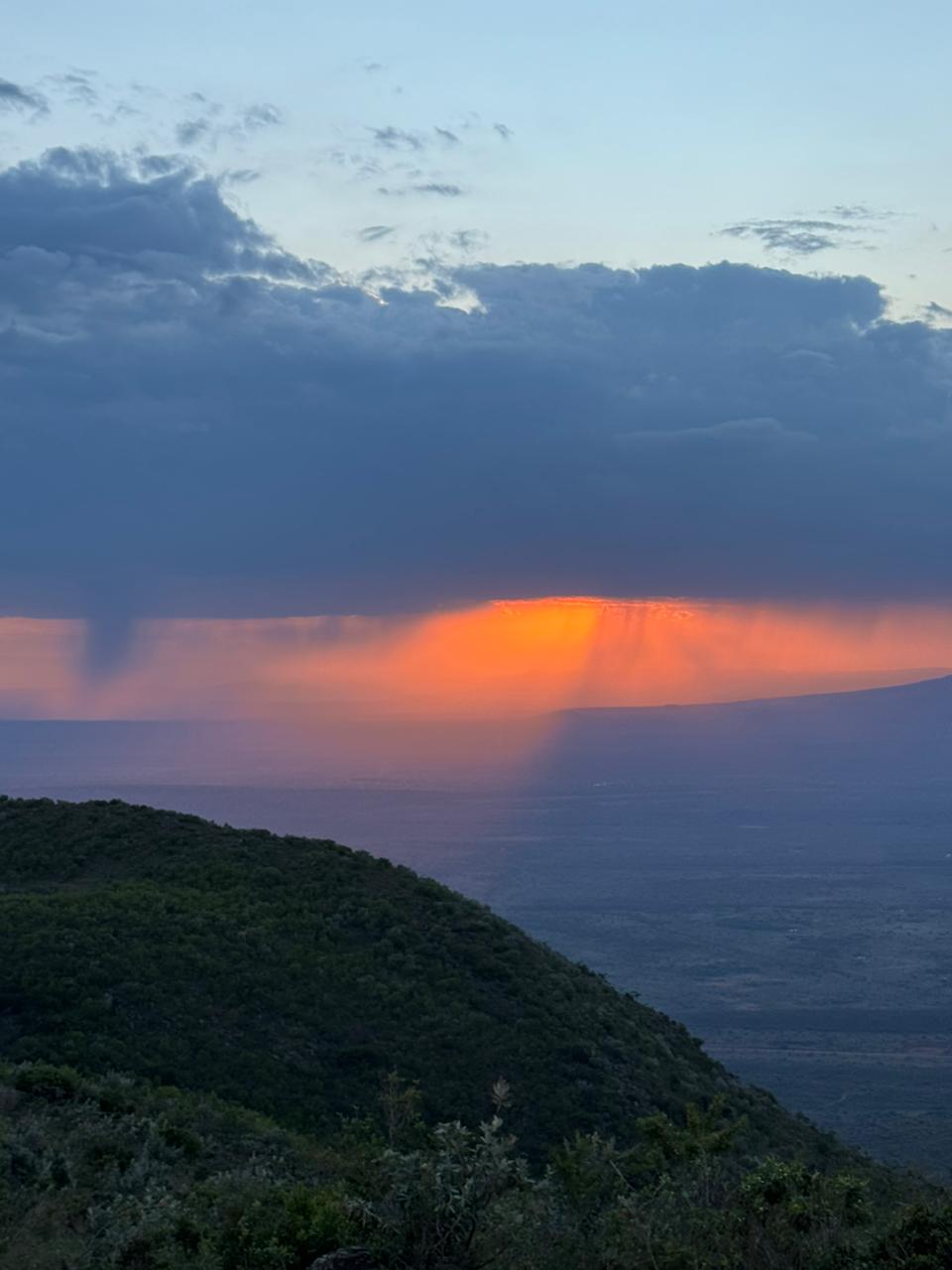 Tsavo