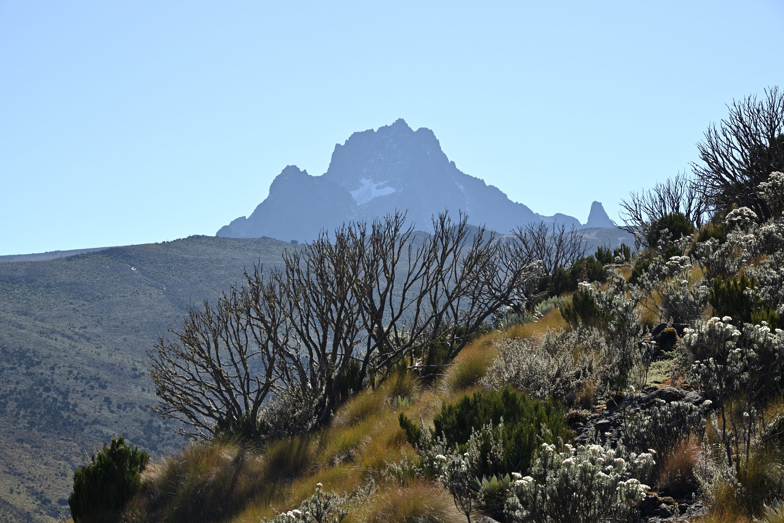 Mt. Kenya