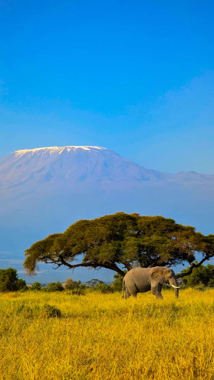 Amboseli