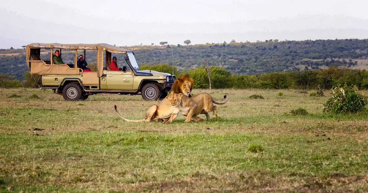 3-Day Basecamp Masai Mara Fly-In Safari