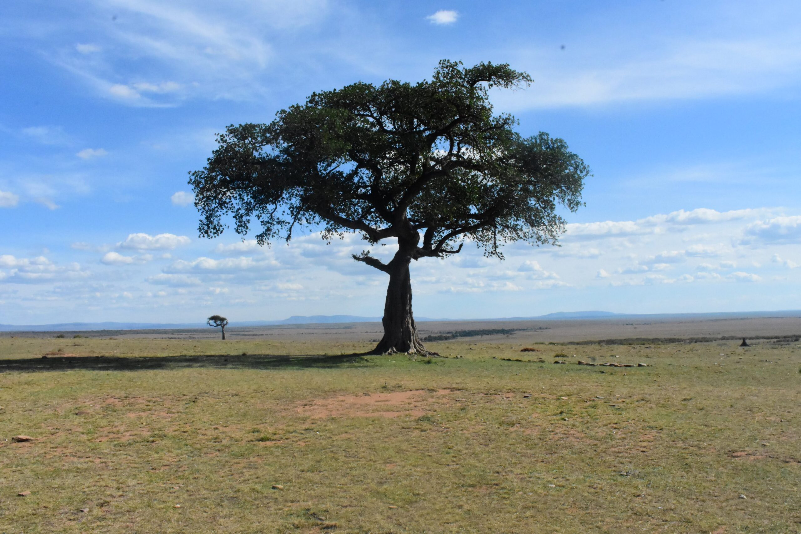 Masai Mara