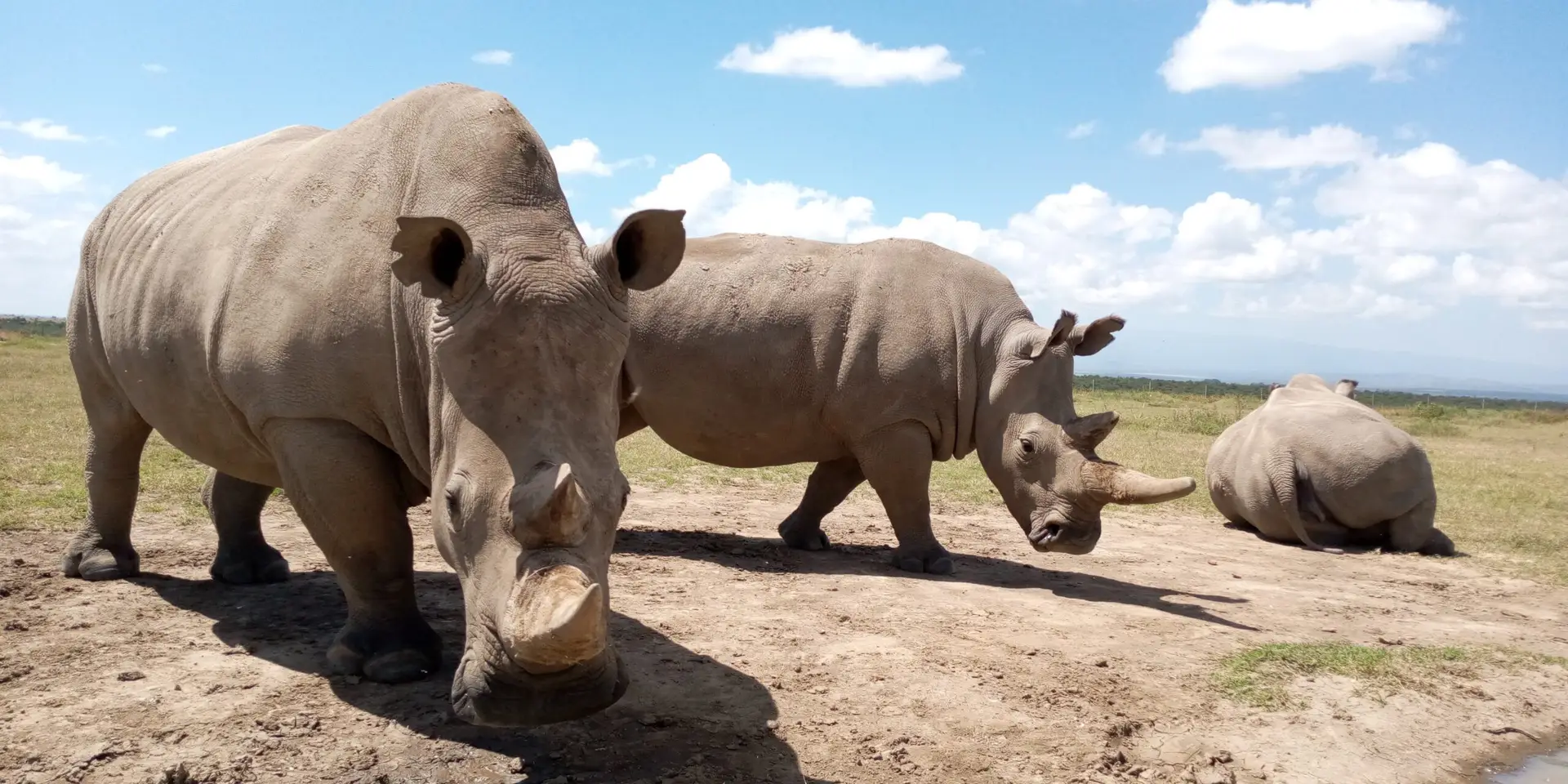 11 Days Kenya, Tanzania & Zanzibar Safari
