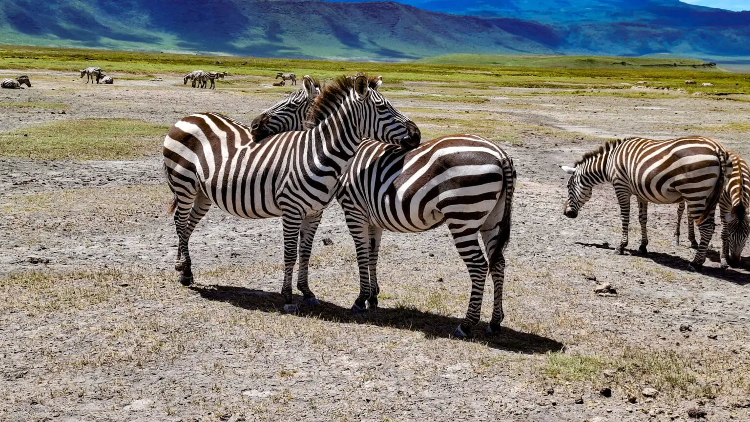Panoramic view of Ngorongoro Crater in Tanzania